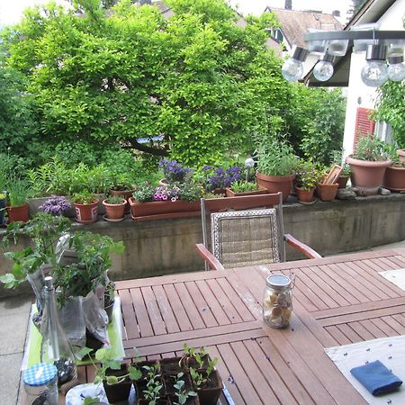 Guest Room Zollikon Zuerich 외부 사진