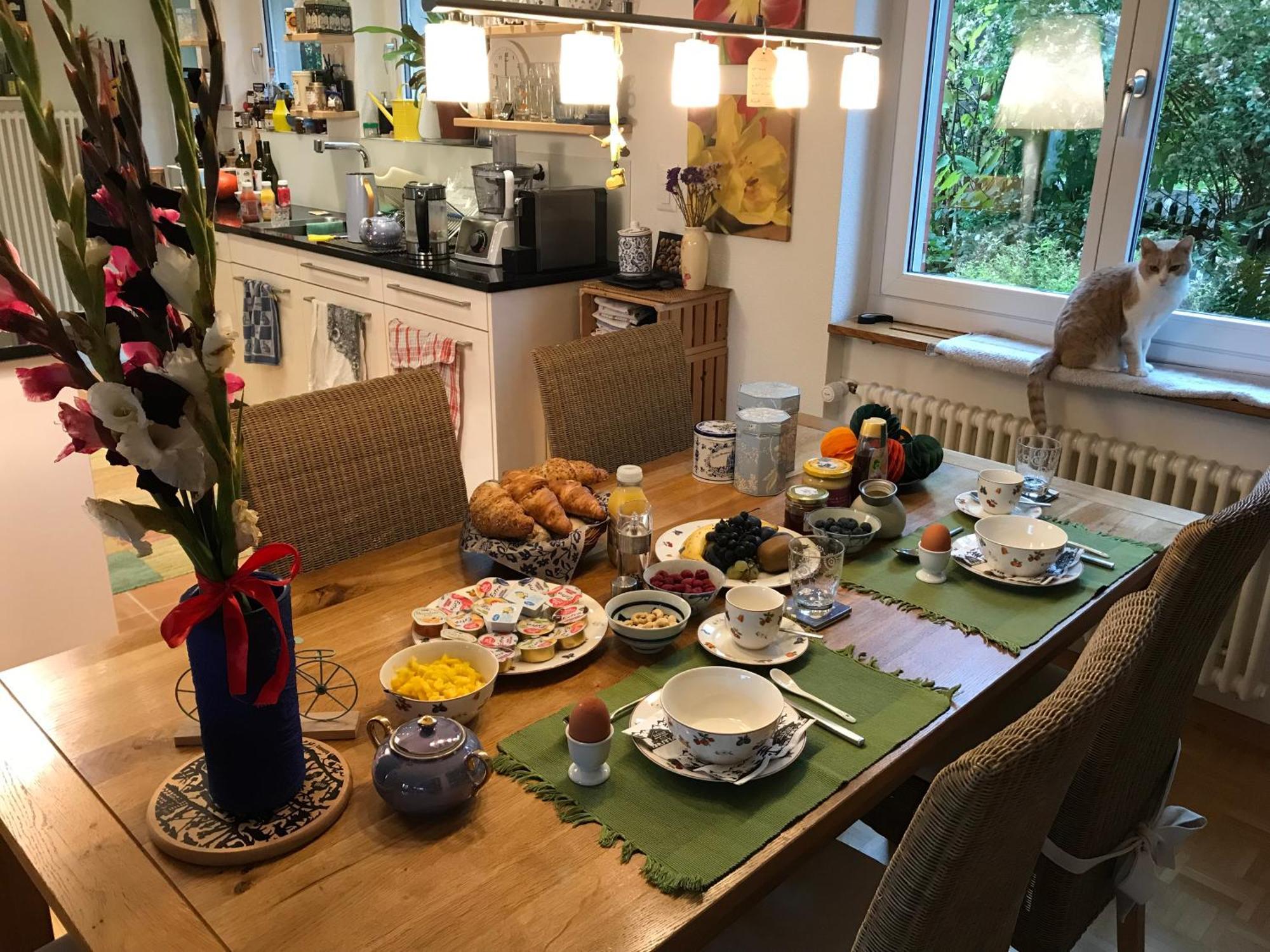 Guest Room Zollikon Zuerich 외부 사진