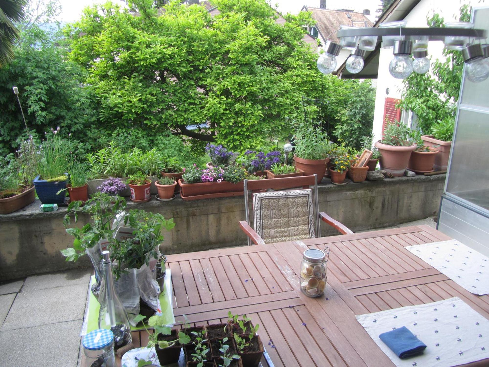 Guest Room Zollikon Zuerich 외부 사진